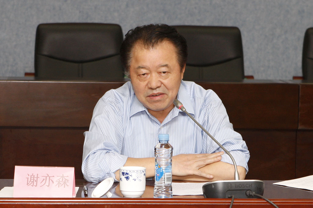 2省人大常委会副主任谢亦森讲话