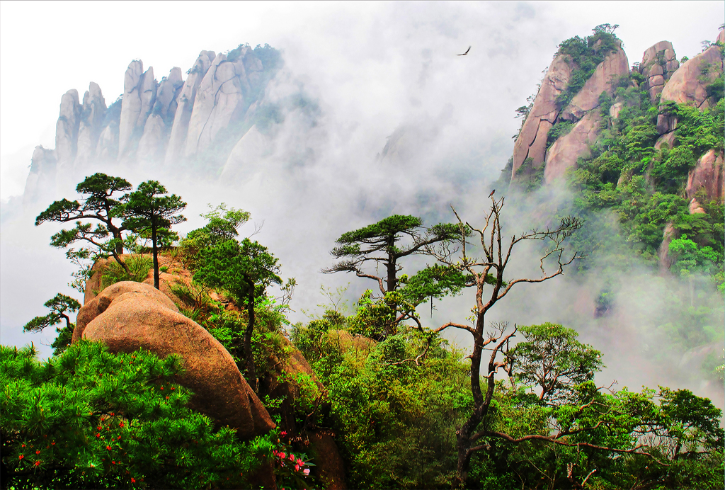 本色清丽着淡妆(作者原预防处副调研员许潮)