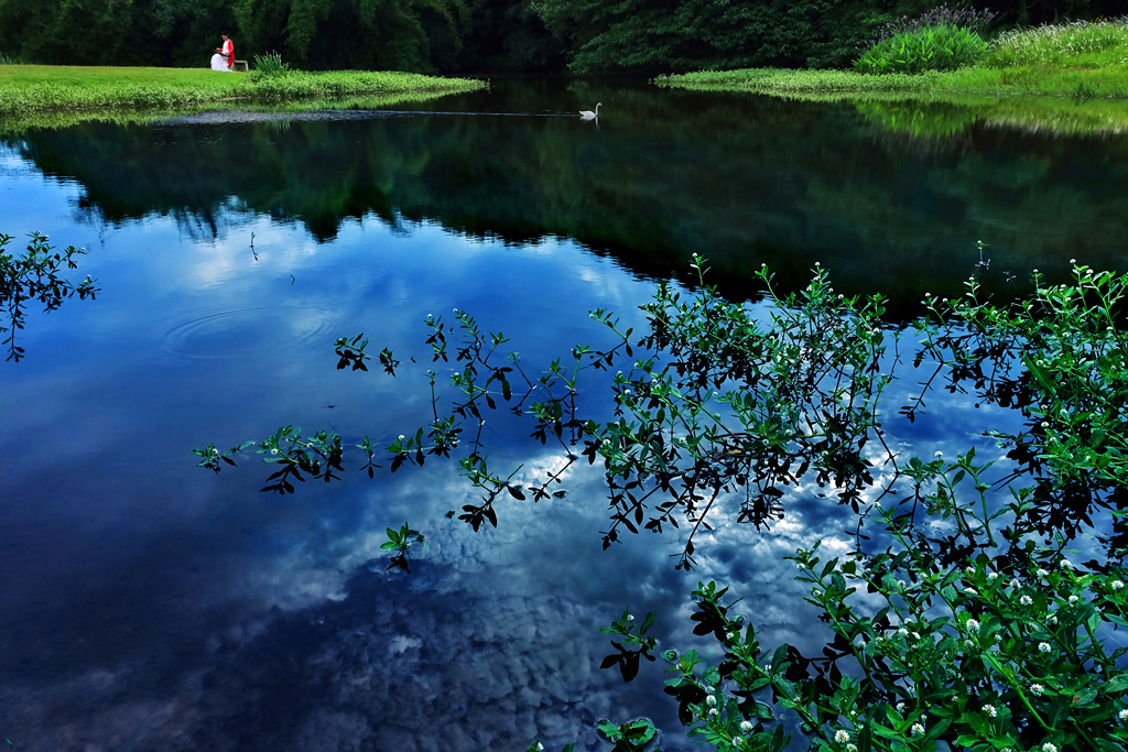 风和日丽琴声悠(作者原预防处副调研员许潮)