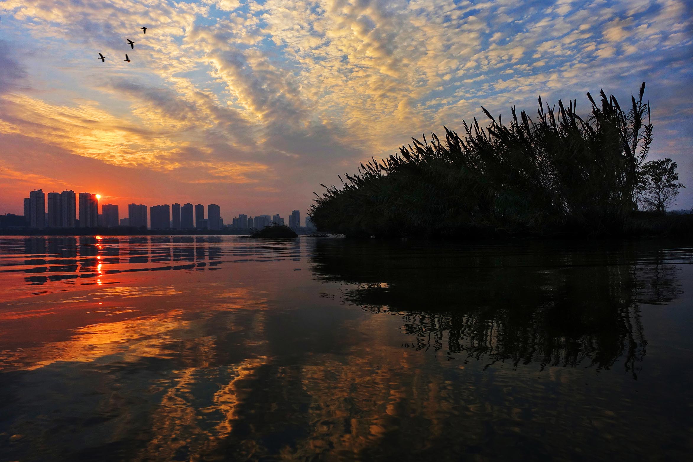 霞落艾溪映归鸿(作者原预防处副调研员许潮)