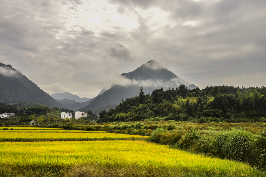 静静的山乡(作者原省院专委蔡田)